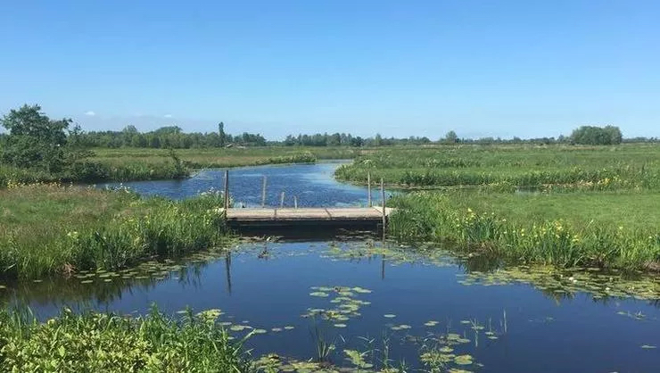 Vergaderen in het groen bij Station Vinkeveen